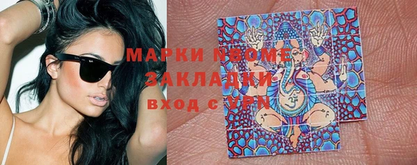 стафф Алзамай