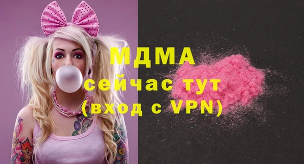 стаф Дубна