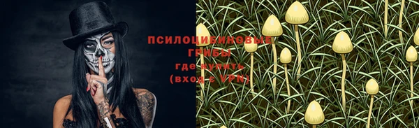 стафф Алзамай