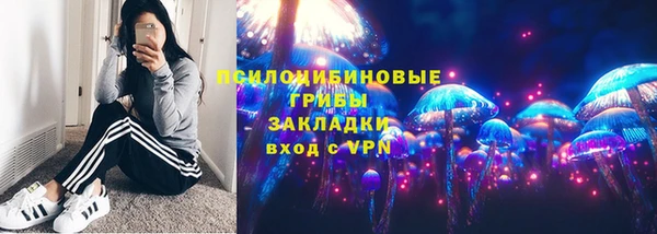 стафф Алзамай