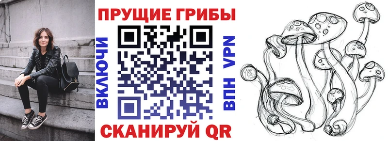mega ONION  Кукмор  Псилоцибиновые грибы Cubensis 